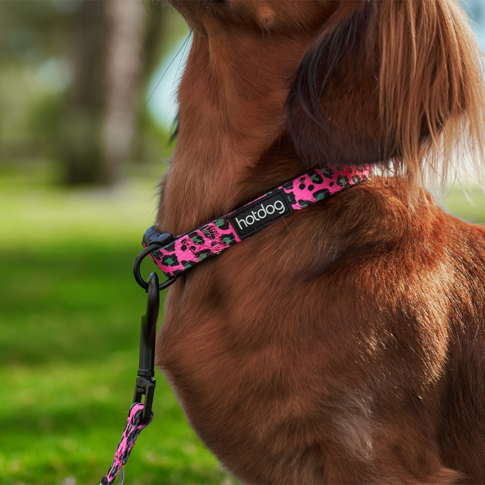 Hot Dog Collar Pink Ocelot Annabel Trends