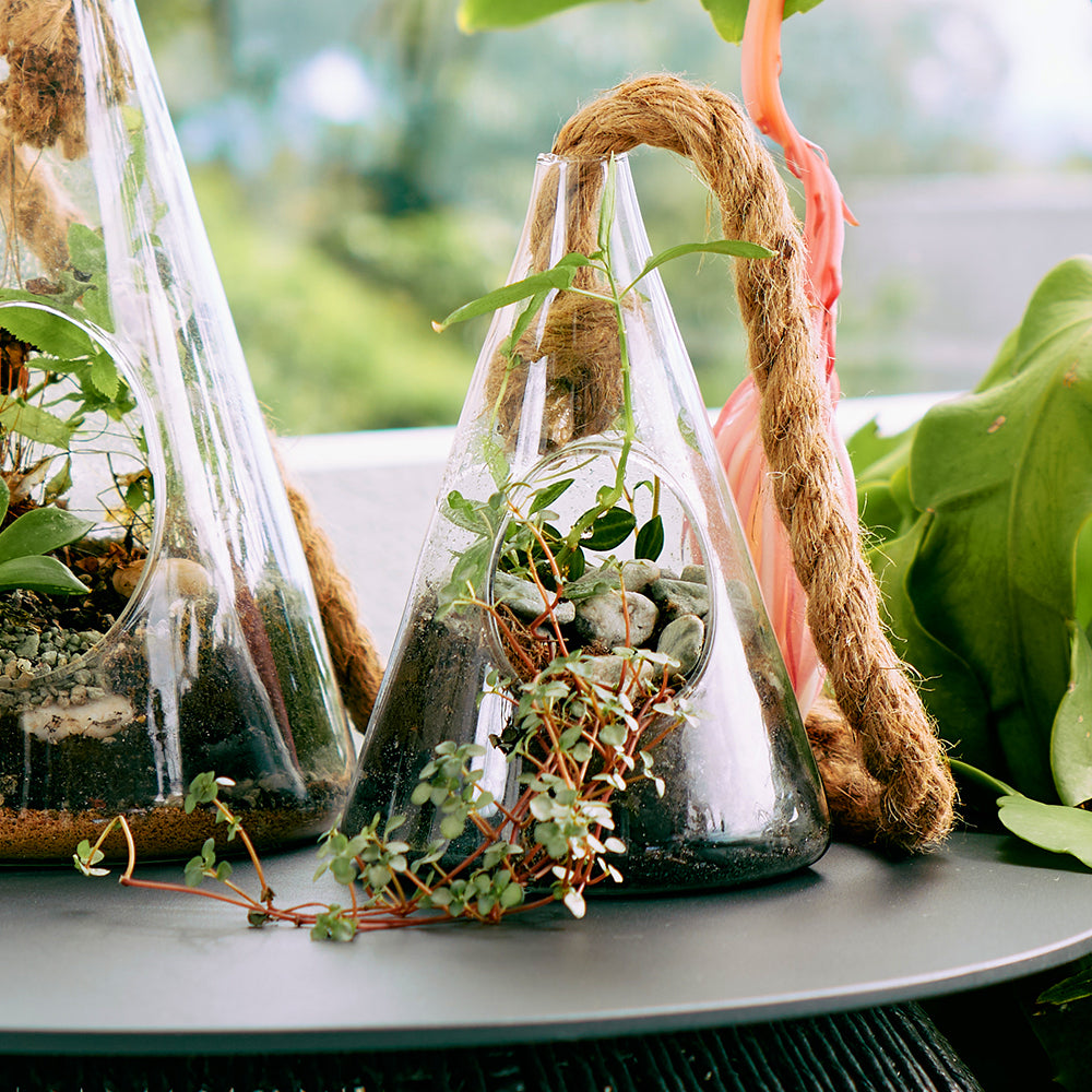 Hanging Terrarium - Cone